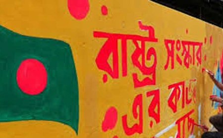 ভাগ হচ্ছে এনবিআর: লাভ কী? জটিলতা কোথায়?