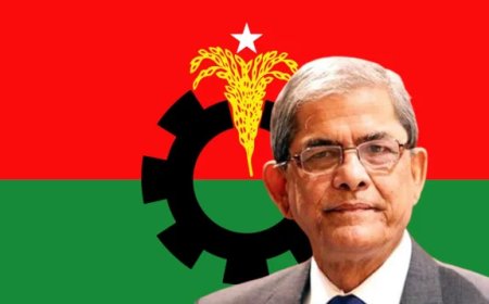 স্বাস্থ্য পরীক্ষায় সিঙ্গাপুরে গেলেন মির্জা ফখরুল
