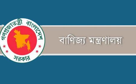 যুক্তরাষ্ট্র কী চায়, তা জেনে পদক্ষেপ নেওয়ার সুপারিশ ব্যবসায়ী ও অর্থনীতিবিদদের