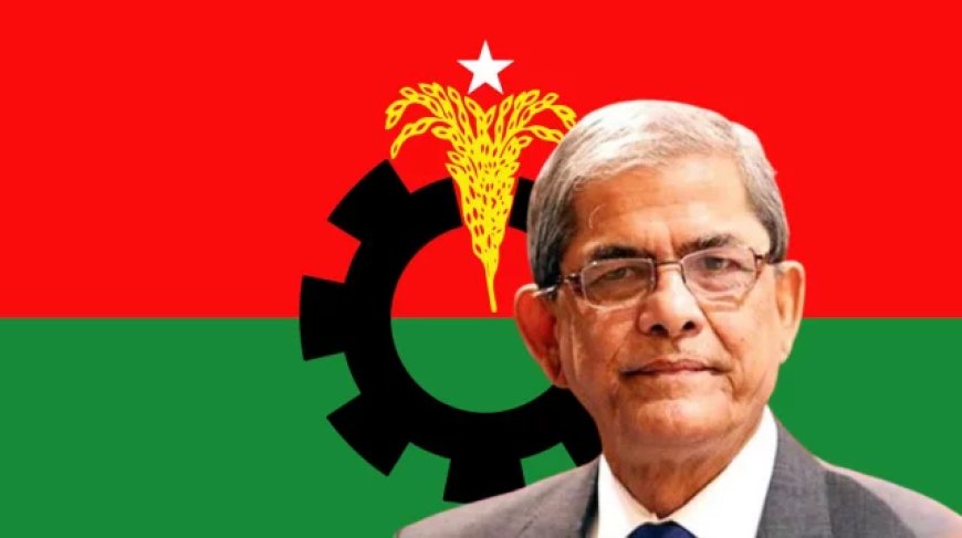 স্বাস্থ্য পরীক্ষায় সিঙ্গাপুরে গেলেন মির্জা ফখরুল