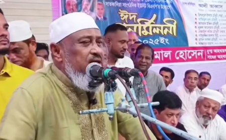 ‘বিএনপির কথা শুনতে হবে, না হলে ইউএনও-ওসিগিরি ছেড়ে অন্য জায়গায় যেতে হবে’